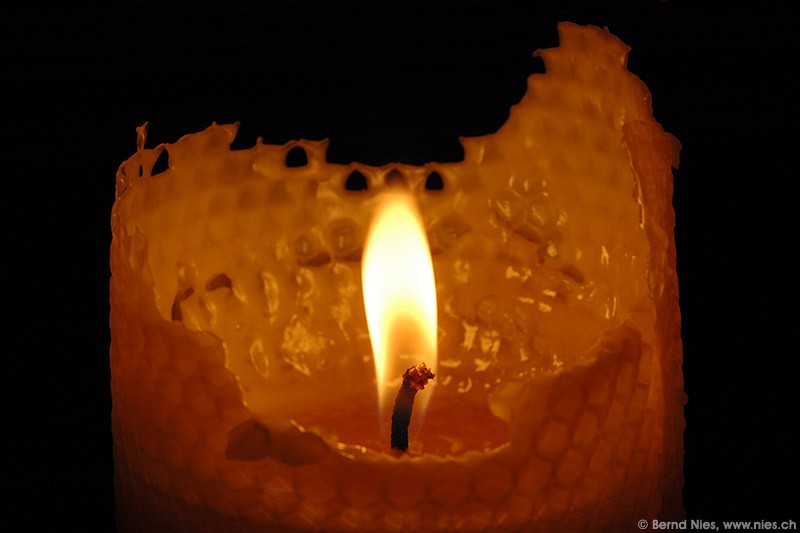 Bee wax candle