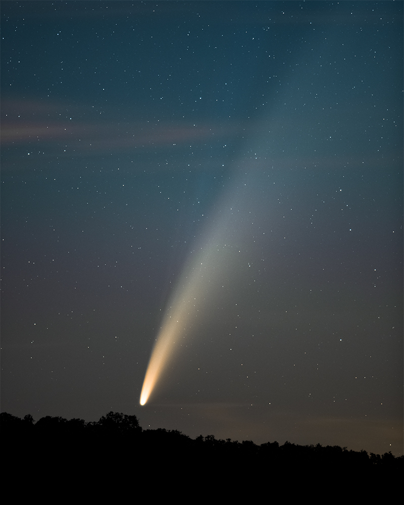 Komet Neowise über dem Wald