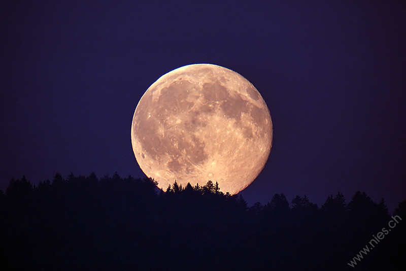 Full Moon Rising Moon Sky Photos Bernd Nies