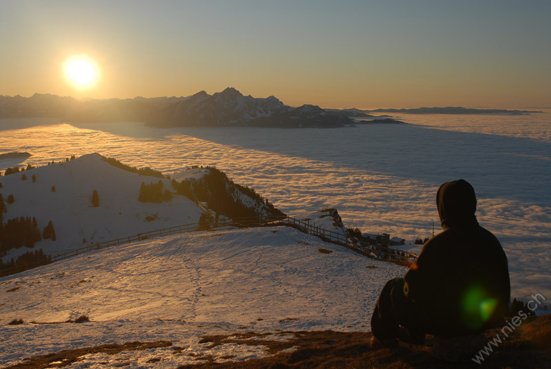 Rigi Nebelmeer und Sonnenuntergang