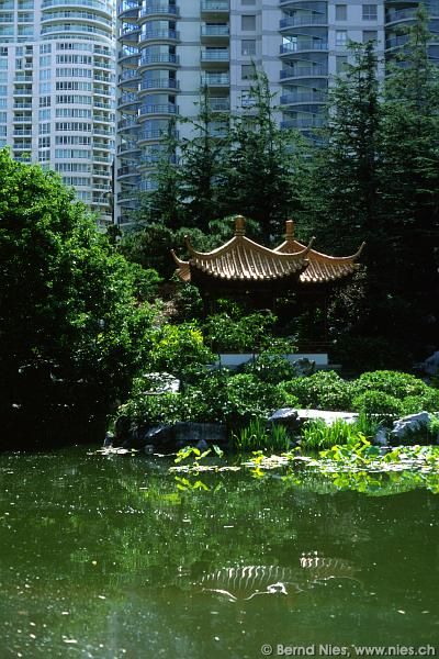 Sydney Chinese Garden