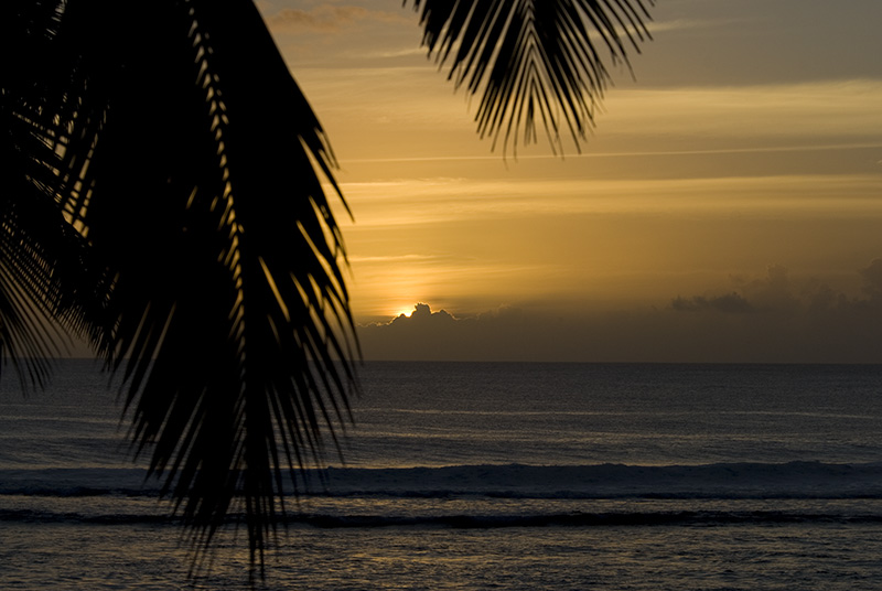 Sunset with Palms