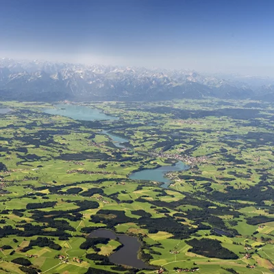 Forggensee mit Alpen