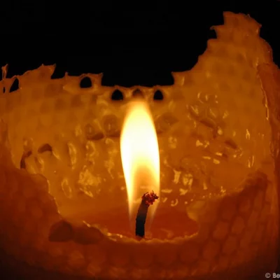 Bee wax candle
