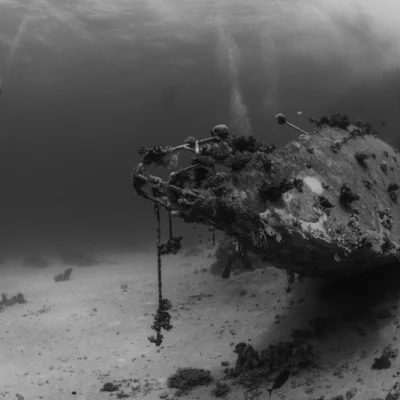 Shipwreck with Divers