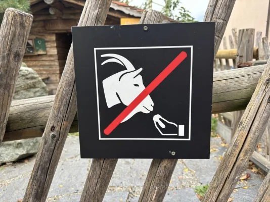 Im Heidiland ist es verboten mit den Ziegen italienisch zu reden.