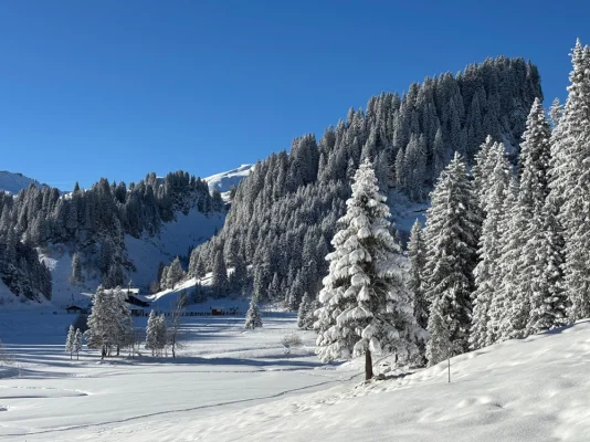 Winterlandschaft auf dem Hoch Ybrig. Wanderung von Seebli nach Fuederegg.