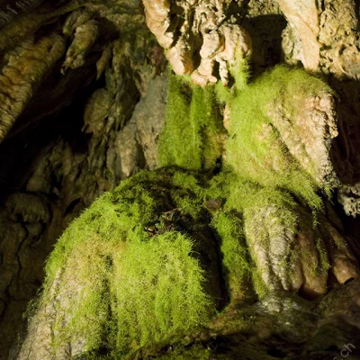 Höllgrotten Cave