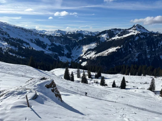 Auf dem Weg von Weglosen zur Druesberghütte. Runter gehts mit dem Schlitten.