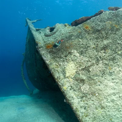 Shipwreck Bow