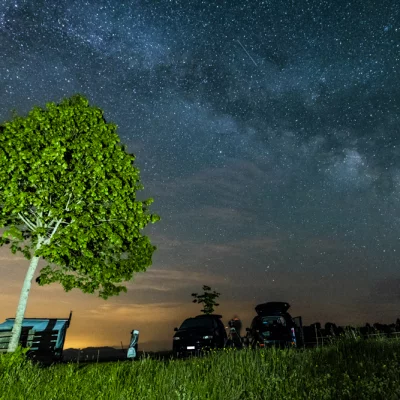 Milky Way above Tree