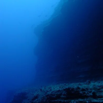 Underwater Landscape