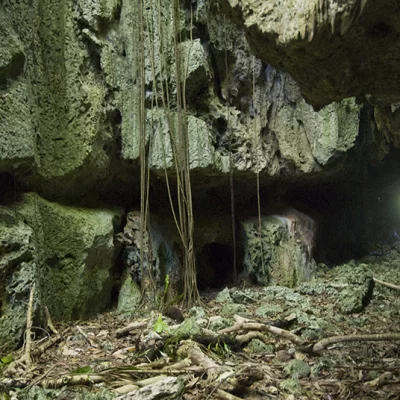 Mangaia Cave